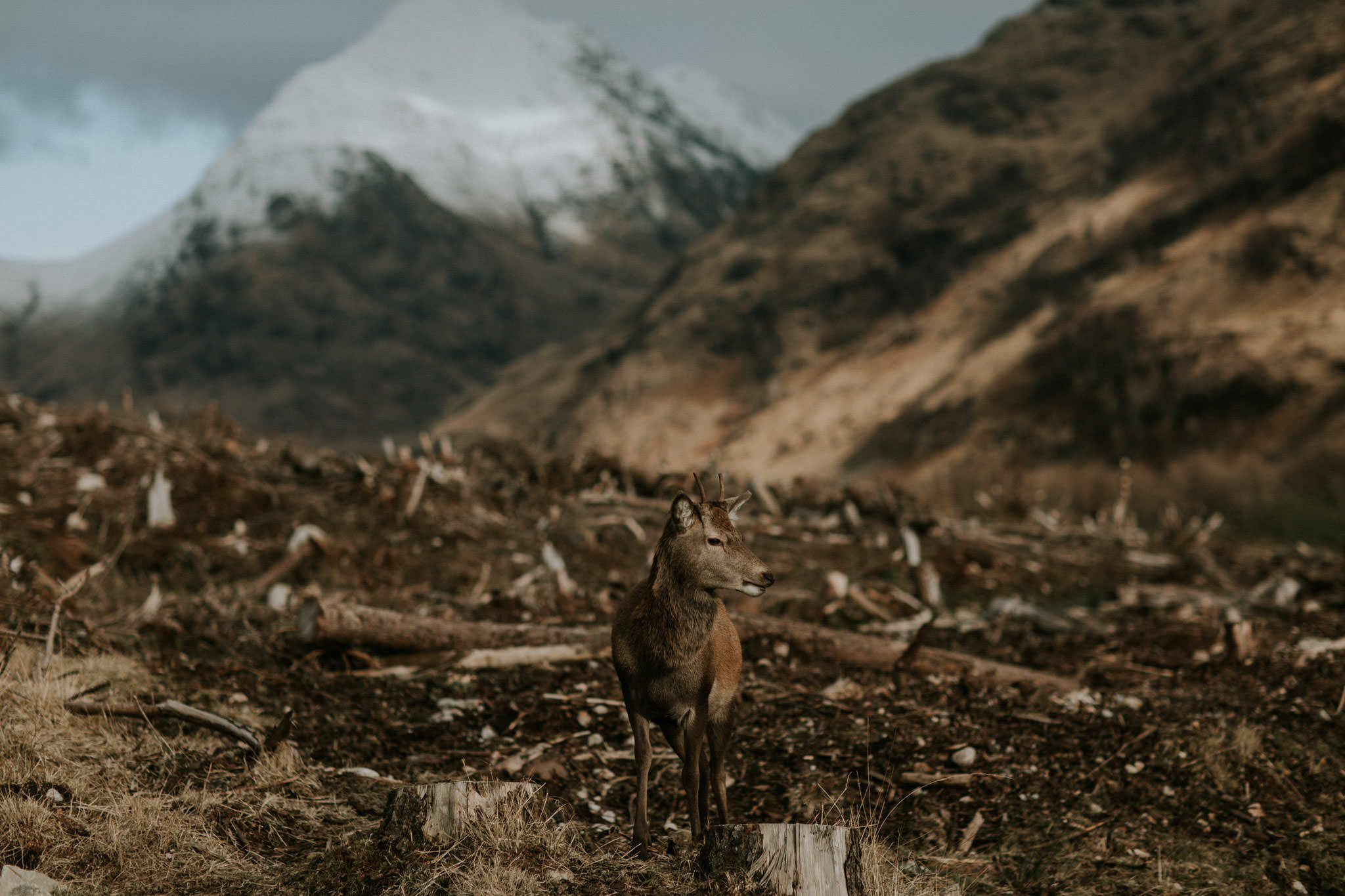 wedding-elopement-photography-glencoe 004