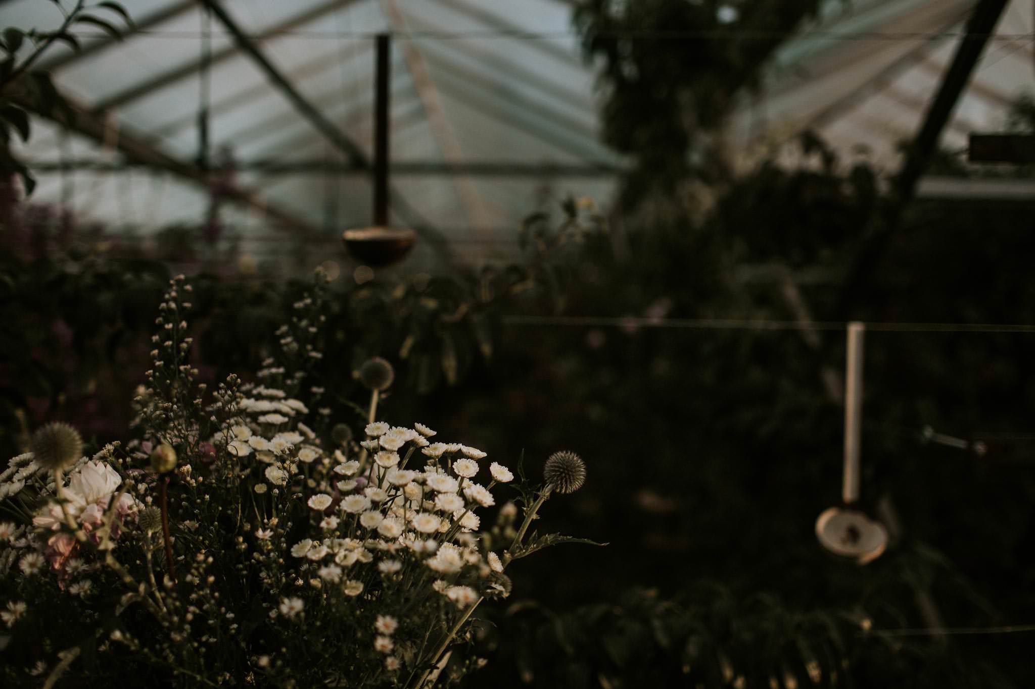 secret-herb-garden-edinburgh-vegan-wedding-076