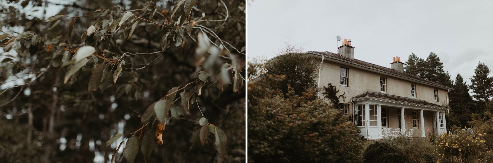 boho forest wedding 005