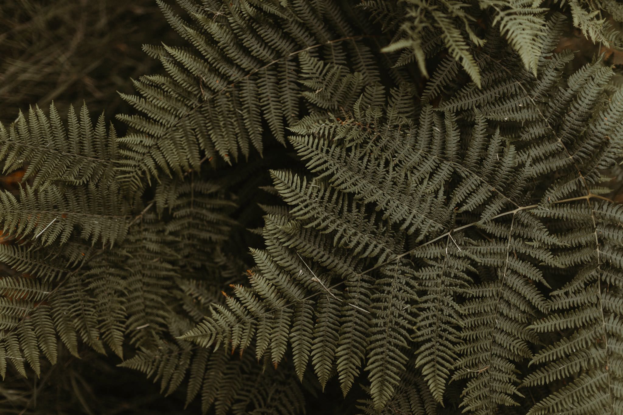 boho forest wedding 030