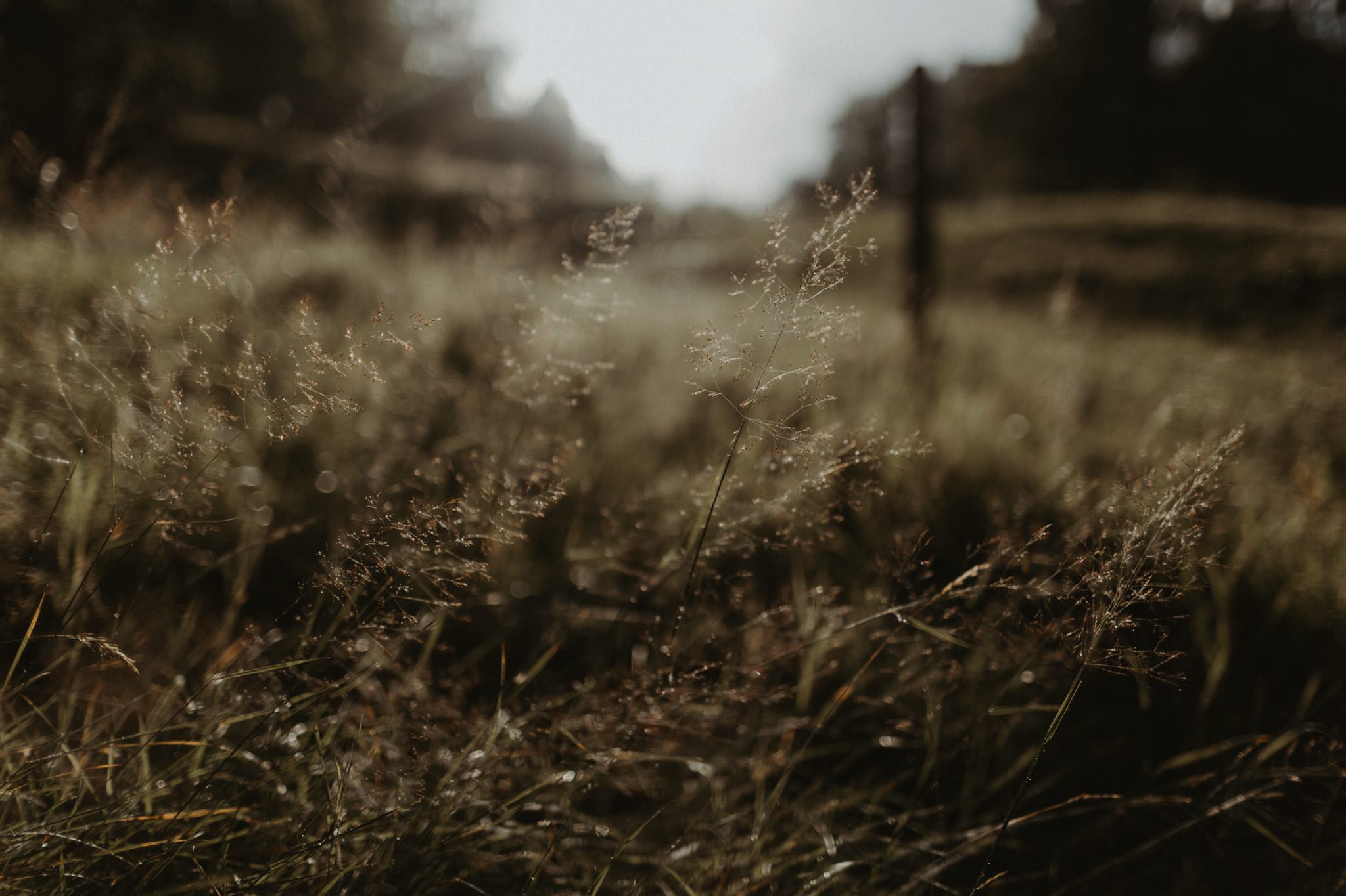 boho forest wedding 147