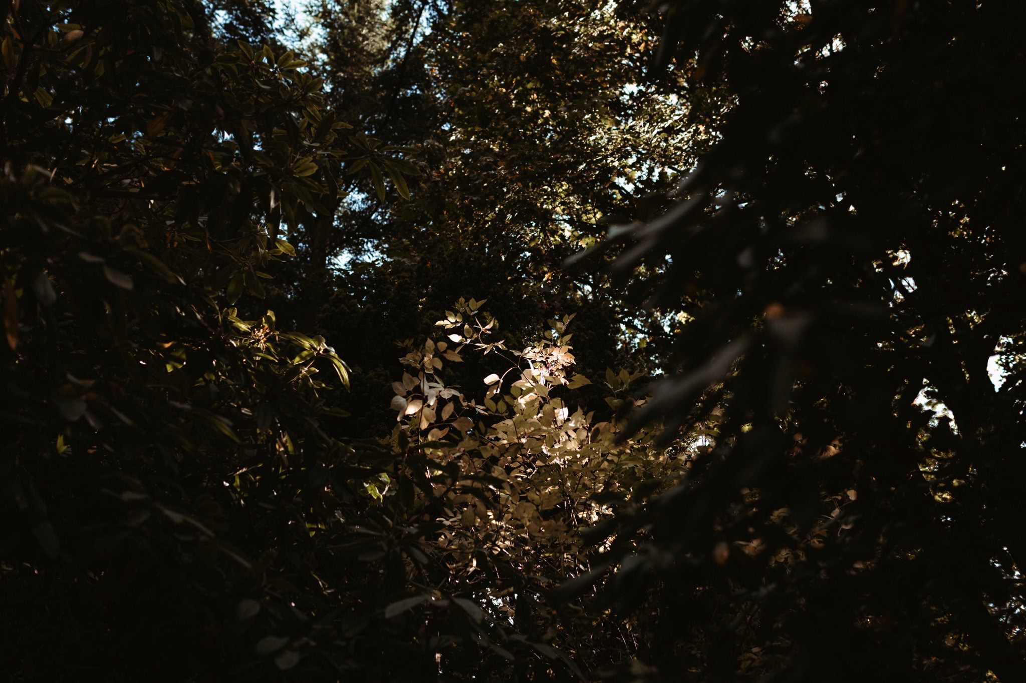 southern california wedding photographer 045