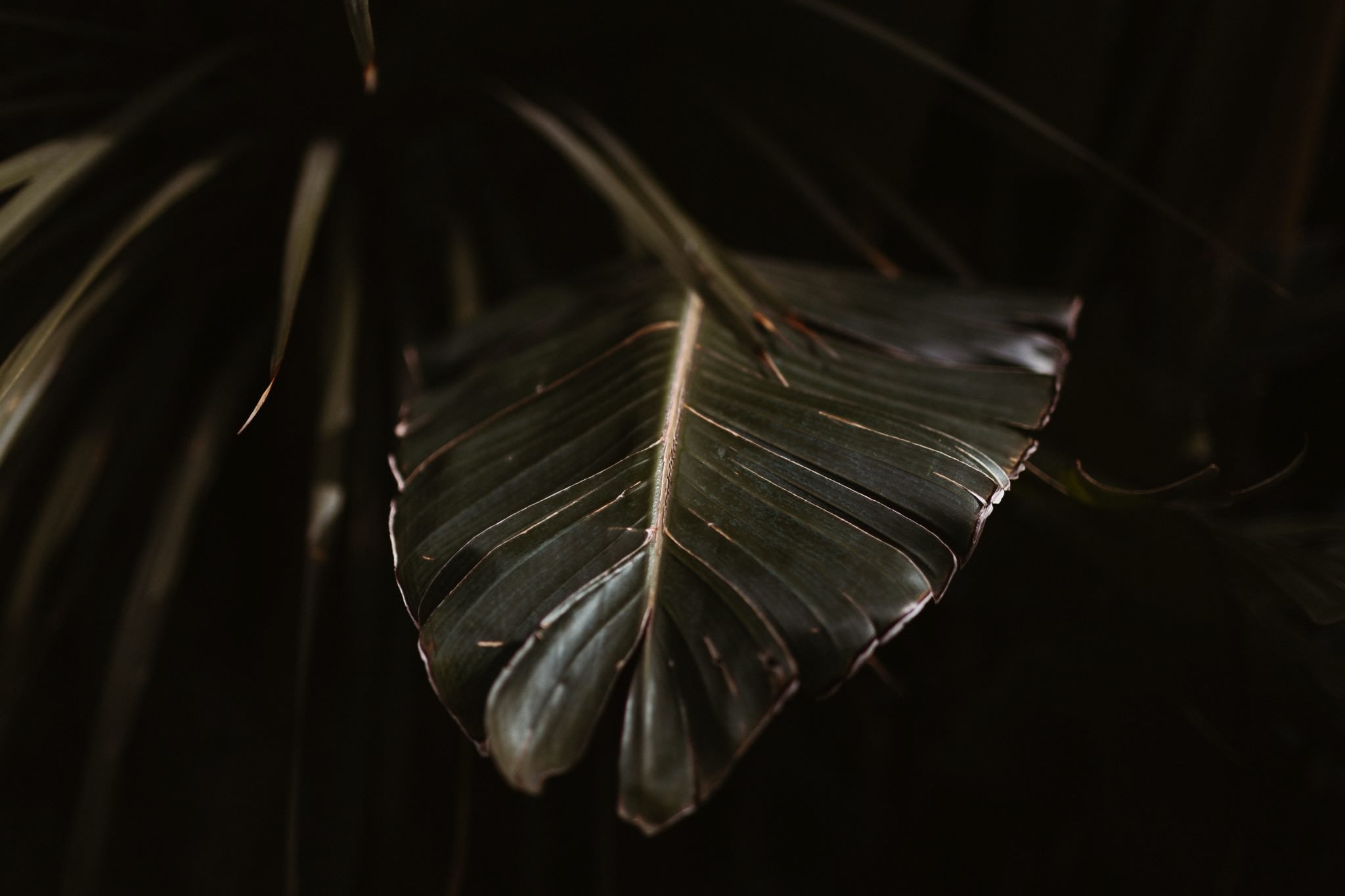 millwick wedding 007