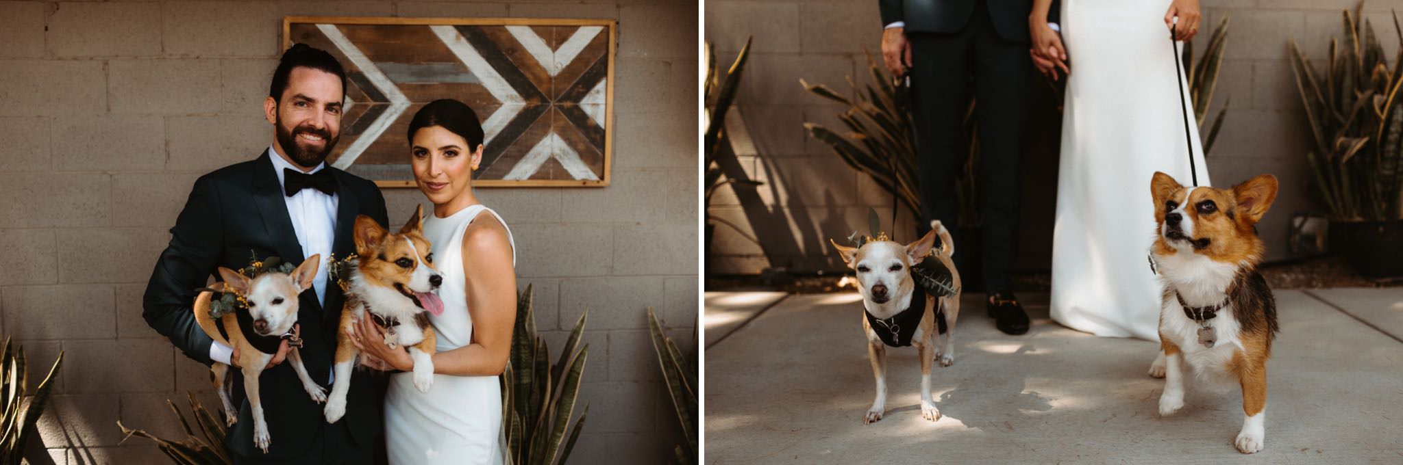 lautner compound wedding 059
