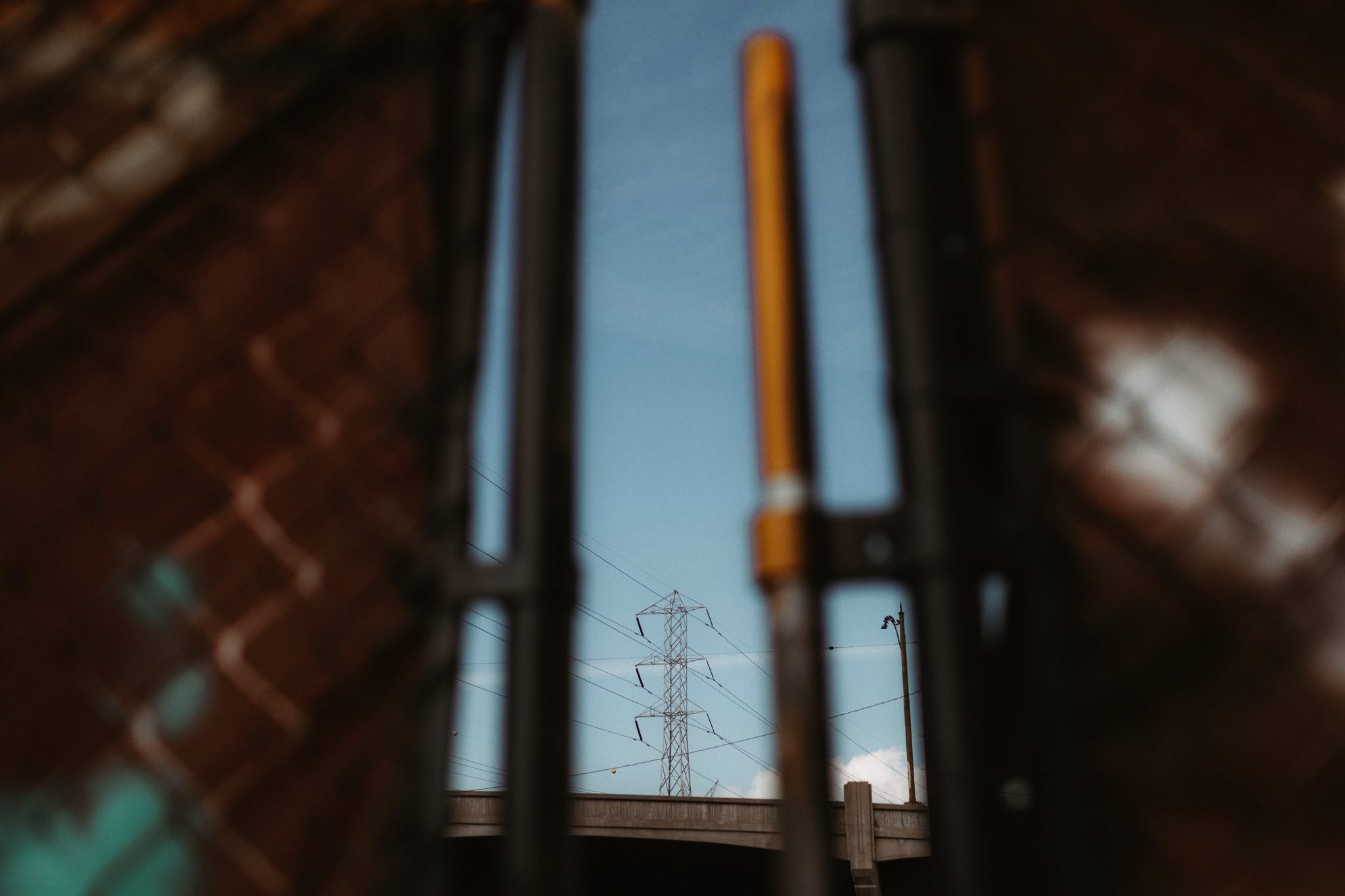 la engagement shoot 002