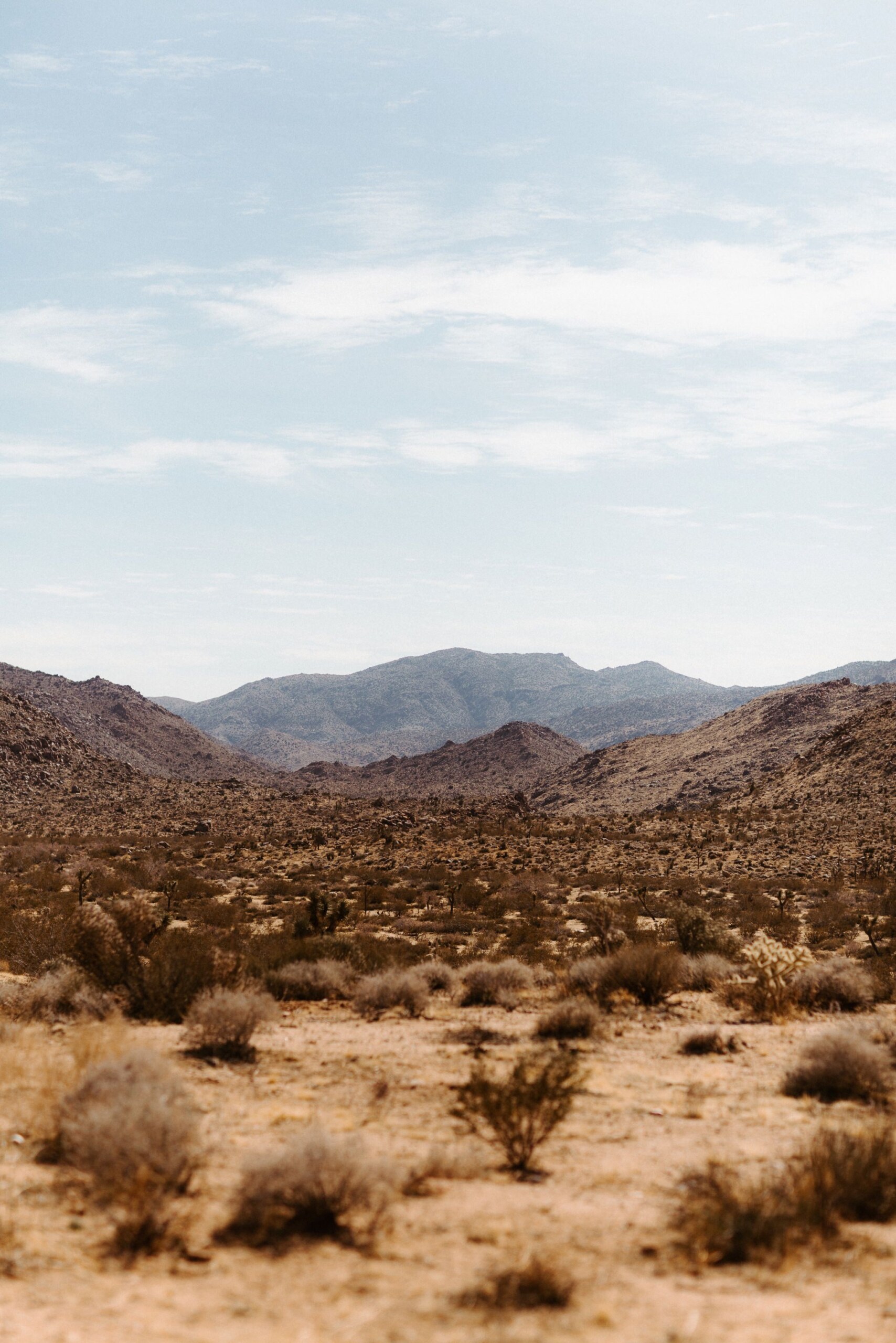 joshua tree elopement 001 scaled