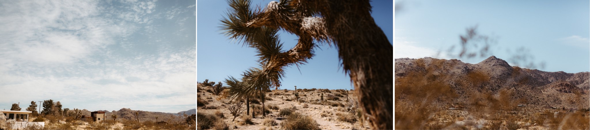 joshua tree elopement 002
