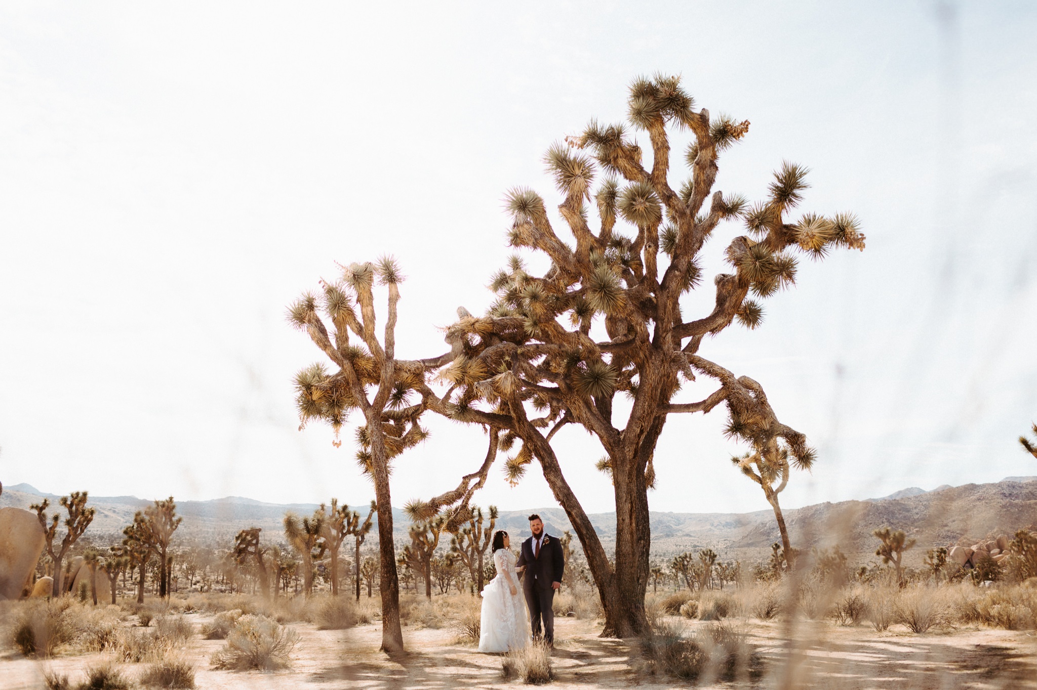 joshua tree elopement 028