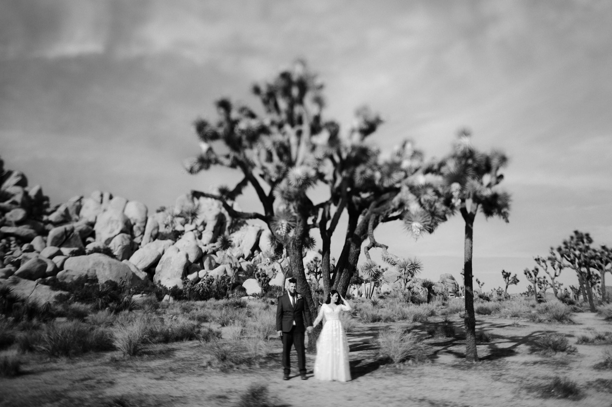 joshua tree elopement 037