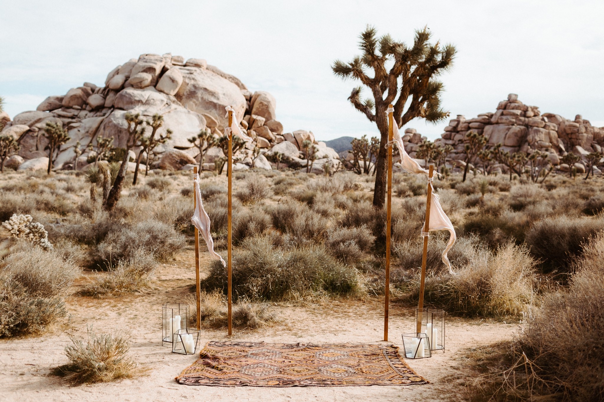 joshua tree elopement 039