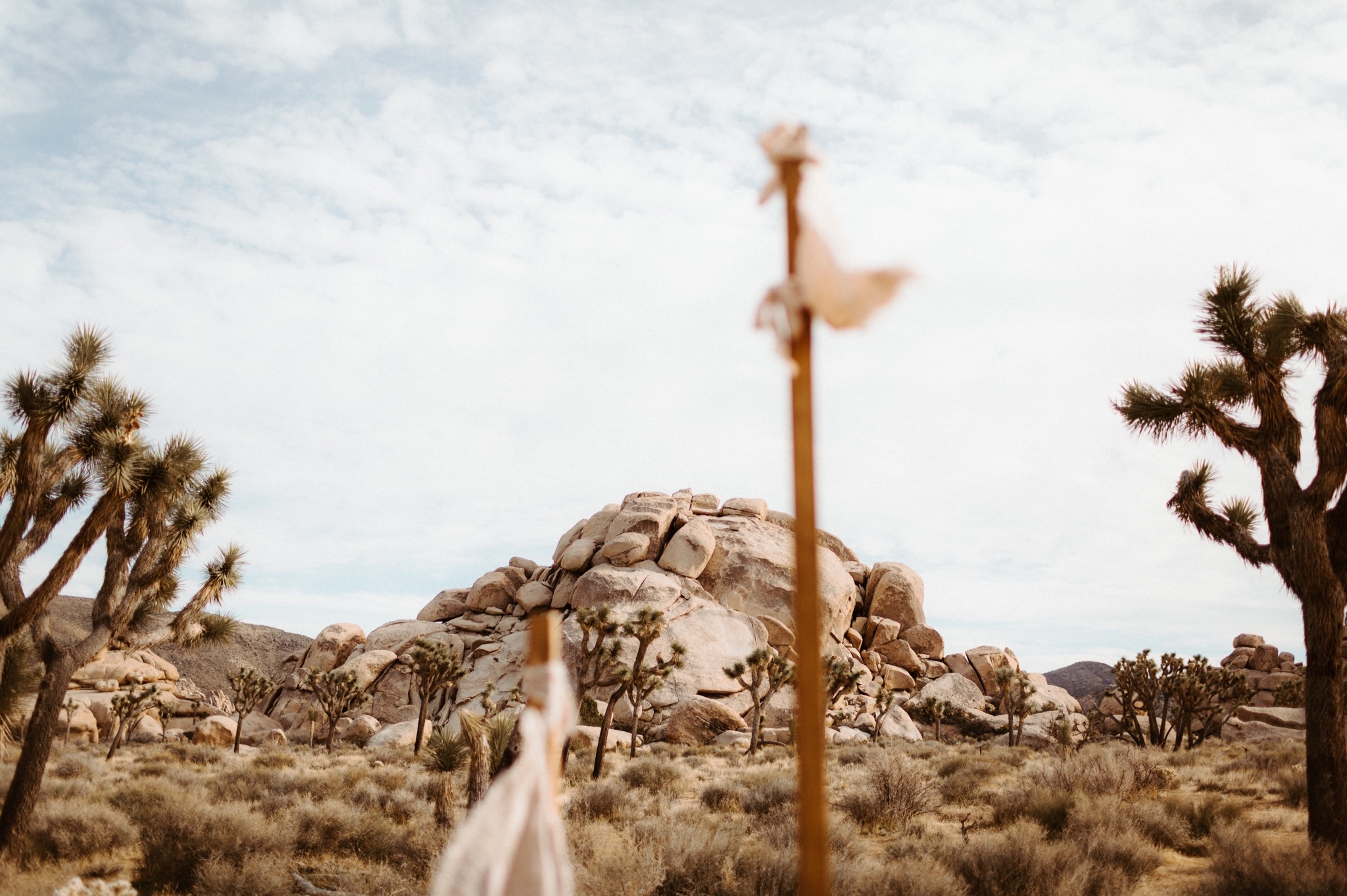 joshua tree elopement 041