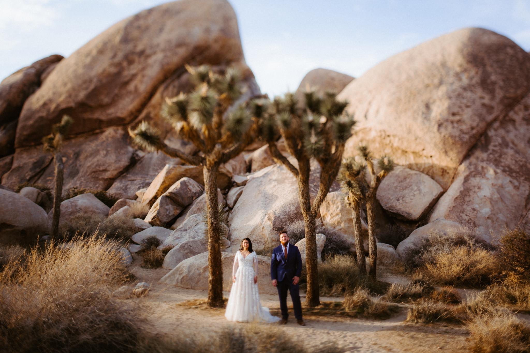 joshua tree elopement 088