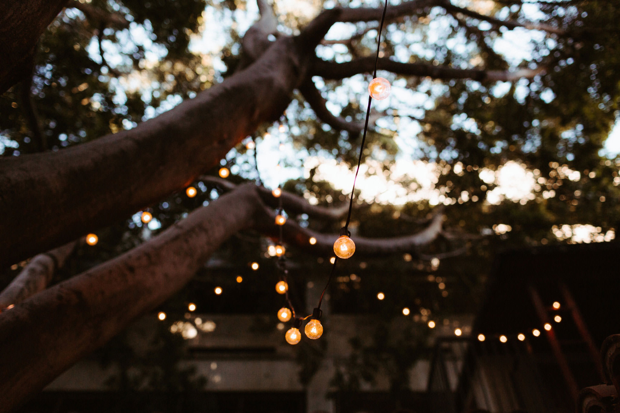 carondelet house wedding 005