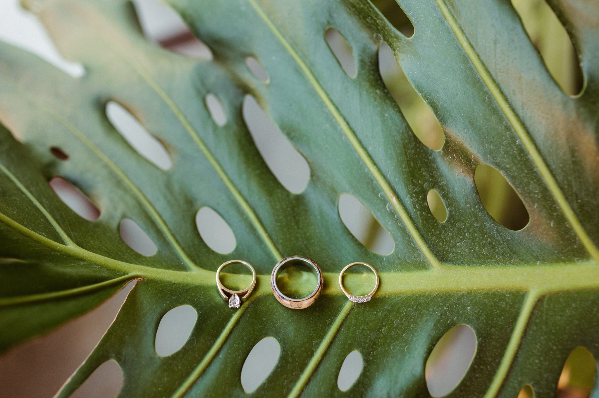 vasquez rocks wedding 008