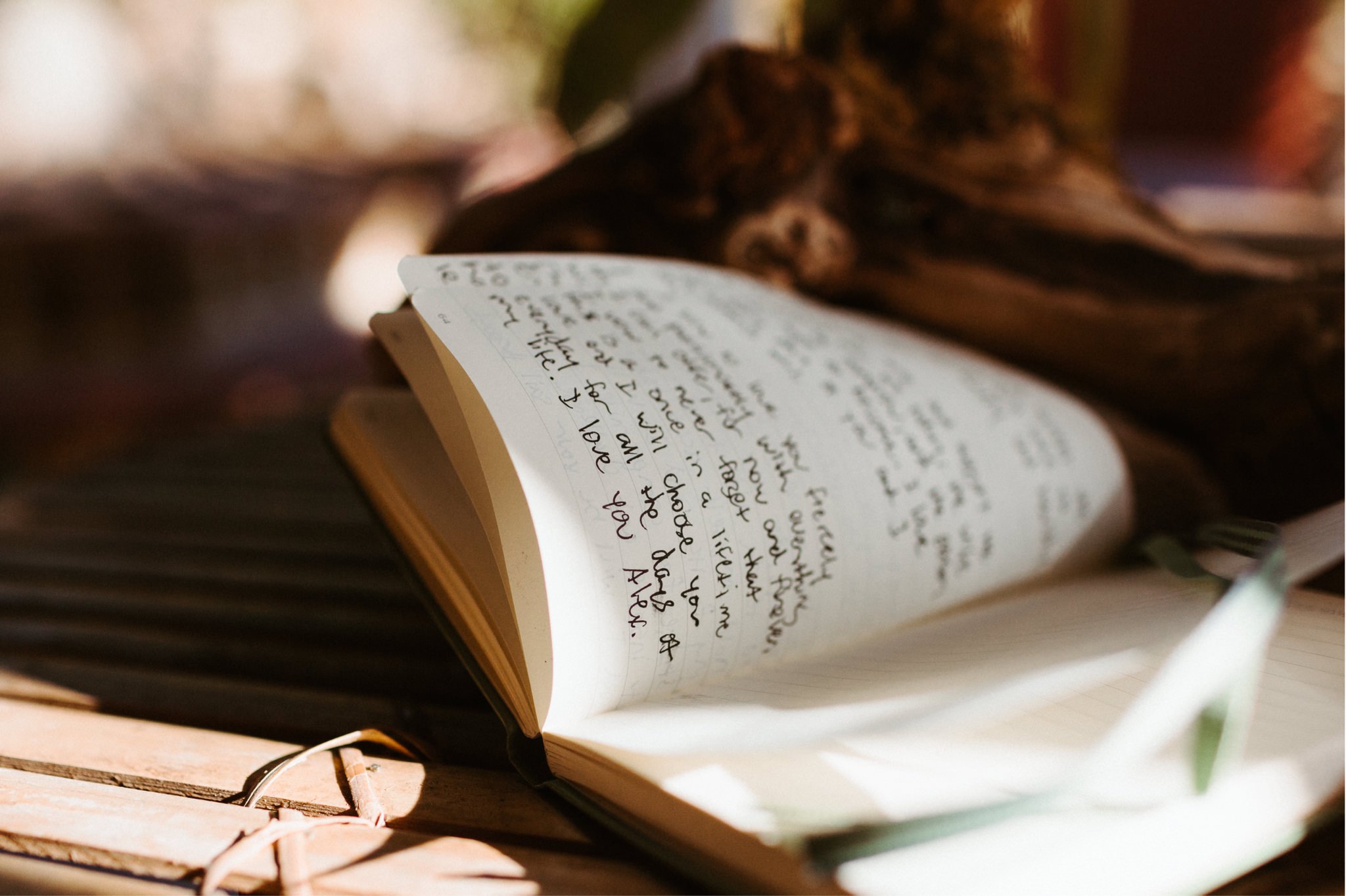 vasquez rocks wedding 011