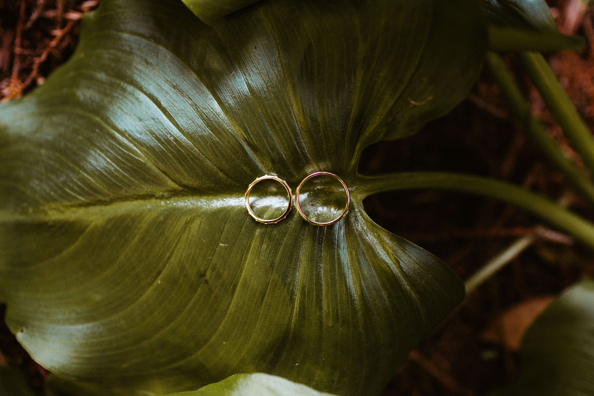 GLEN OAKS BIG SUR ELOPEMENT | THE HENDRYS PHOTOGRAPHY 7 glen oaks big sur elopement getting ready rings