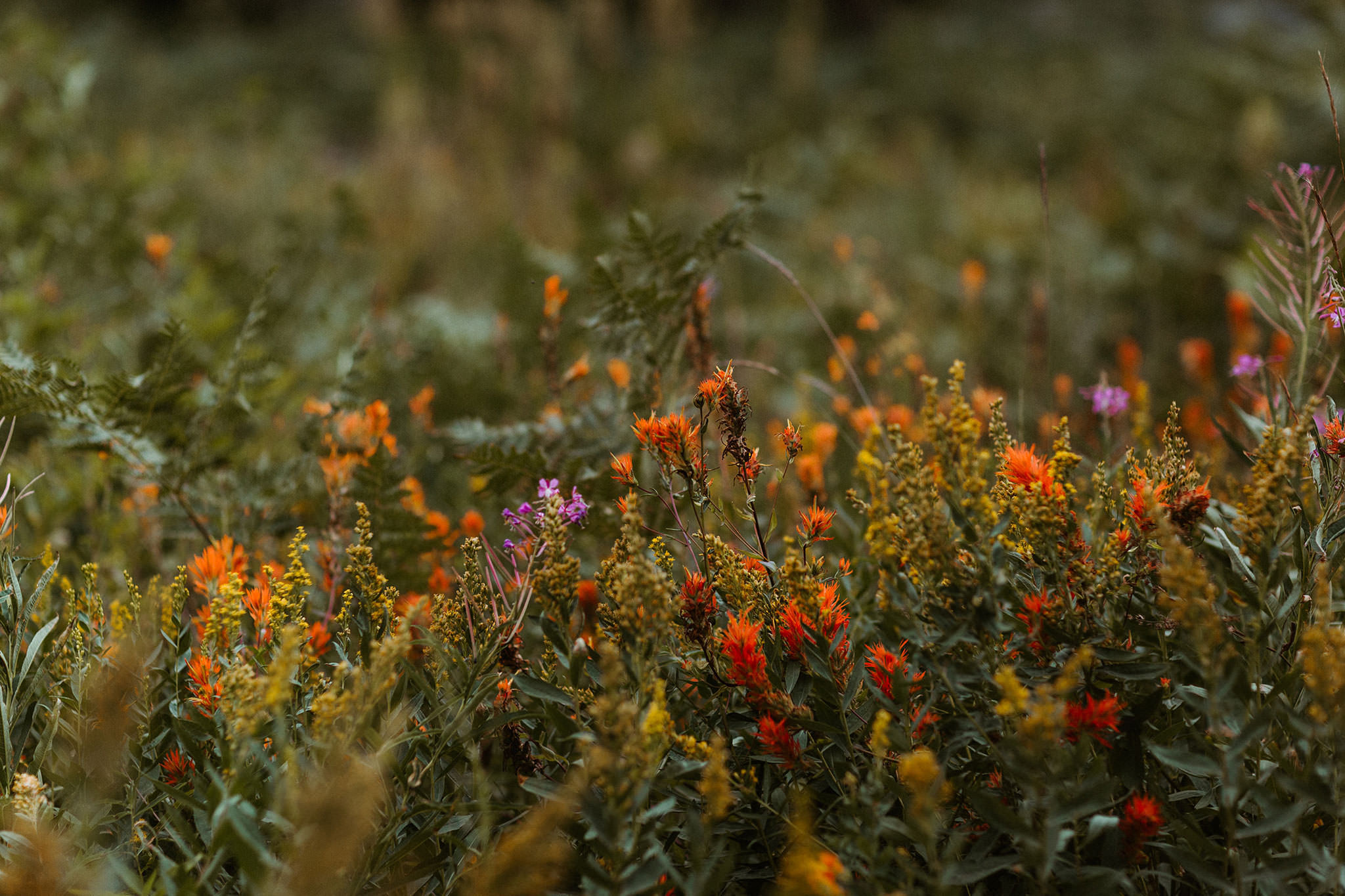 WHITE WOLF TAHOE WEDDING 5 white wolf tahoe wedding flowers