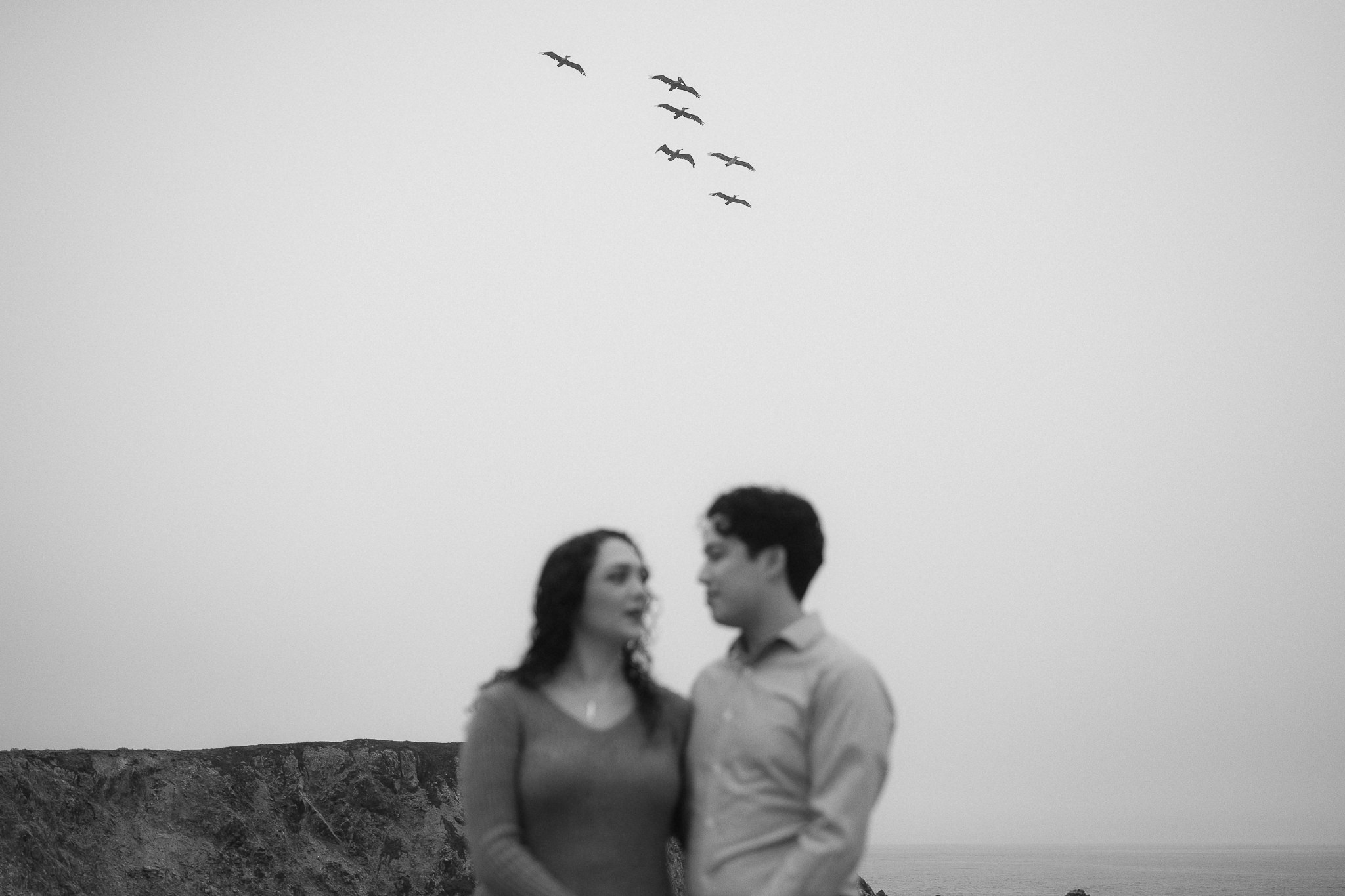 BODEGA BAY ELOPEMENT 10 nature around during this bodega bay elopement